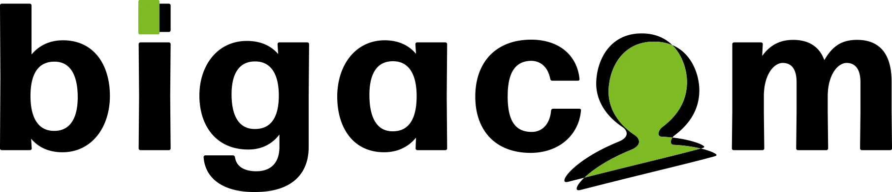 bigacom-logotype-1